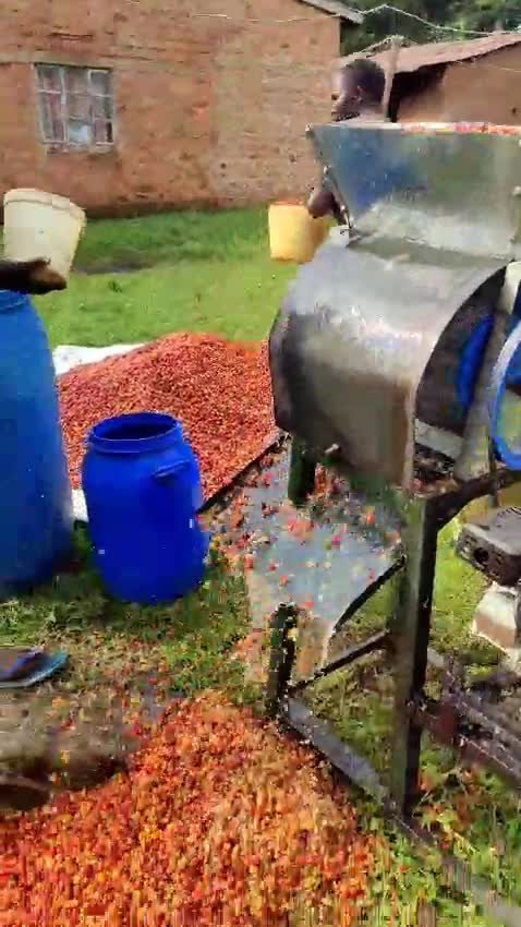 Coffee cherry pulping process
