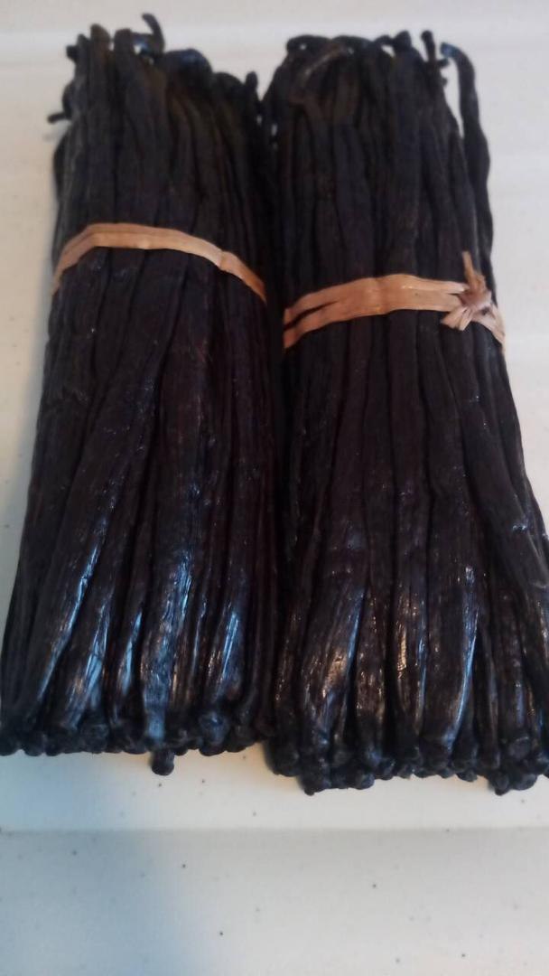 Two bundles of cured vanilla beans